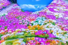 高价回收报废汽车摩托車三轮车视频封面