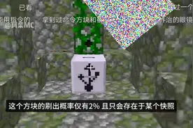 我的世界八个不能获得的方块视频封面
