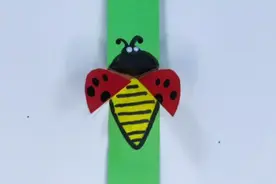 会煽动翅膀的七星瓢虫，太好玩了，赶快陪孩子做起来