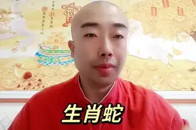 生肖蛇视频封面
