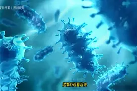 狂犬病消失了吗？防控70年-新中国是如何消灭狂犬病的？