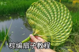 棕叶编织扇子教程，用树叶编织一把好看的扇子，太有趣了！