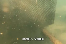 韩船长教你，非洲极品生蚝怎么吃？跳进大西洋自己挖最美味