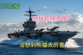 听风的蚕：想挑软柿子捏？没想到熊猫太厉害视频封面