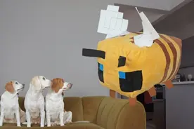 狗狗教训了蛮不讲理的小蜜蜂，不料愤怒的蜜蜂妈妈竟找上门来！视频封面