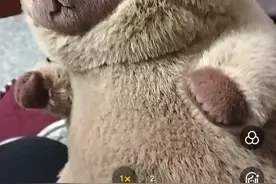 帮我配一下卡皮巴拉的音乐，求求了😃