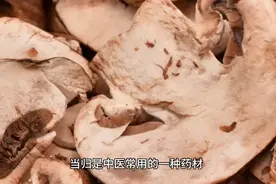 当归的作用与禁忌。视频封面