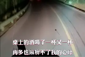 桌上的酒喝了一杯又一杯，再多也麻痹不了我的心碎视频封面
