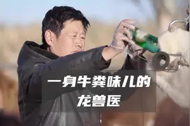龙兽医从业30年出诊从不收钱 涨粉百万后还在给牛治病视频封面