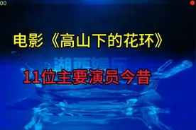 电影《高山下的花环》11位主要演员，你看看还记得她们吗视频封面