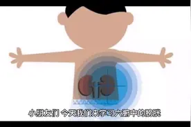 膀胱视频封面