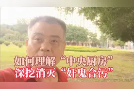 如何理解“中央厨房”，深挖消灭“奸鬼合污”视频封面