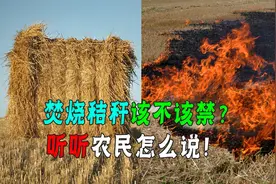 秸秆禁烧实施16年！没想到提出焚烧的专家却被抓！还是日本间谍！