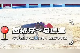 西班牙斗牛表演野牛撞倒斗牛士被踏在牛蹄下斗牛士英勇拼搏站立起视频封面