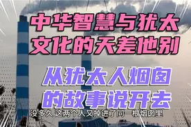 中华智慧与犹太文化天差地别，从犹太人烟囱故事说开去视频封面