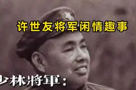许世友将军闲情趣事视频封面