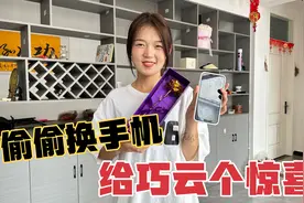 二顺子偷偷给媳妇换了个手机，本想给巧云个惊喜，最后确失败了？视频封面