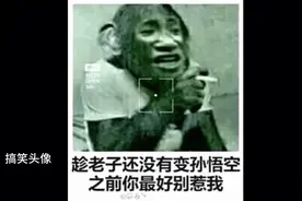你们期待的搞笑头像来了(●°u°●)​ 」视频封面