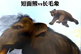 巨型短面熊偷袭长毛象力量大比拼，刚开始有多得瑟，结果就多惨！