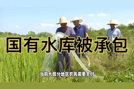 国有水库被承包：合理灌溉费用保障农业生产视频封面