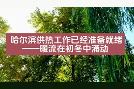 哈尔滨市供热工作已经准备就绪#哈尔滨 #哈尔滨供热视频封面