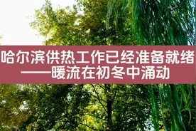 哈尔滨市供热工作已经准备就绪#哈尔滨 #哈尔滨供热视频封面