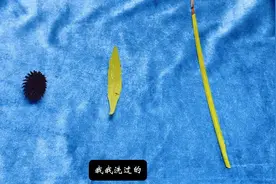 塔罗占卜｜进其他人在私下议论你什么？timeless·善结善缘视频封面