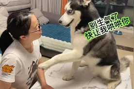 狗狗见主人伤心哭泣，竟然想尽办法哄主人开心，结局万万没想到！