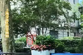 到过上海市宝山区吗 感觉这里街道两旁跟你们家乡有什么不一样吗