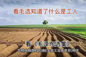 伟人一针见血，让我知道了地主 富农 贫农，还有无法生存的工人。视频封面