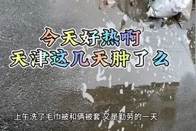 天津这几天怎么了 够热的 今天除了洗衣服好像没干什么。
