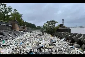 "台风贝碧嘉致上海高楼玻璃脱落，安全警钟敲响市民团结应对"