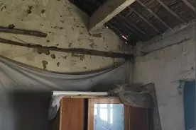 难道真的是因果循环，一切皆是命中注定的！视频封面