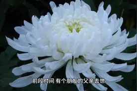 三分钟了解风水的起源视频封面