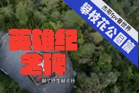 攀枝花为什么是英雄花？攀枝花为什么是英雄城？速来了解。视频封面