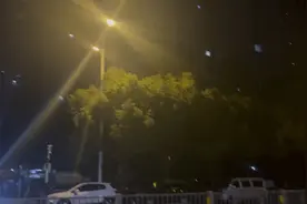 你现在在哪个城市︿(￣︶￣)︿