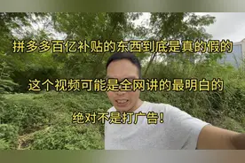 拼多多上百亿补贴的东西到底是真的还是假的，眼镜哥亲身经历！视频封面