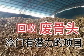 比较冷门却很有潜力的项目，骨头回收加工，需求量大利润可观视频封面