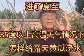 进了夏至35度高温天气多，给黄瓜几天浇一次水，一天中啥时候浇水视频封面