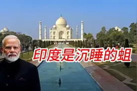 印度是一条沉睡的蛆,当它醒来时,整个世界都会感到恶心视频封面
