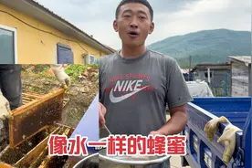真假蜂蜜如何去分辨？什么样的叫水蜜，结晶后颗粒状是掺白糖了么视频封面
