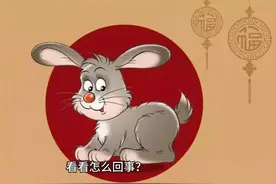 属兔同志：你“闯大祸”了！好好睡觉，好运必来视频封面