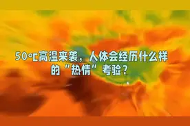 50℃高温来袭，人体会经历什么样的“热情”考验？