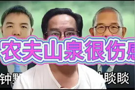 农夫山泉别光顾着伤感，不听妈的话如何解释