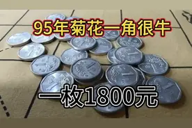 95年菊花一角，一枚1800元视频封面