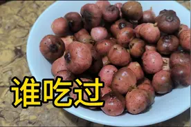 山上成片的香地瓜，没人吃都坏掉啦#大自然的馈赠视频封面