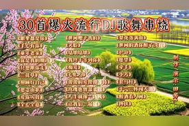 30首爆火DJ歌曲串烧，带你嗨翻整个春天！🌸🎶
