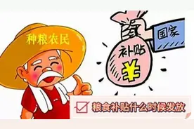 粮食补贴什么时候发放？