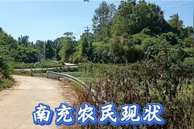 四川南充高坪，普通农民家庭状况，带你一起去了解视频封面