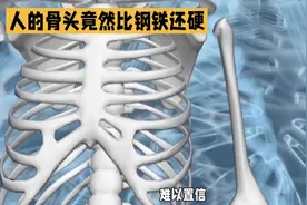 人的骨头比钢铁还硬，你信吗图片